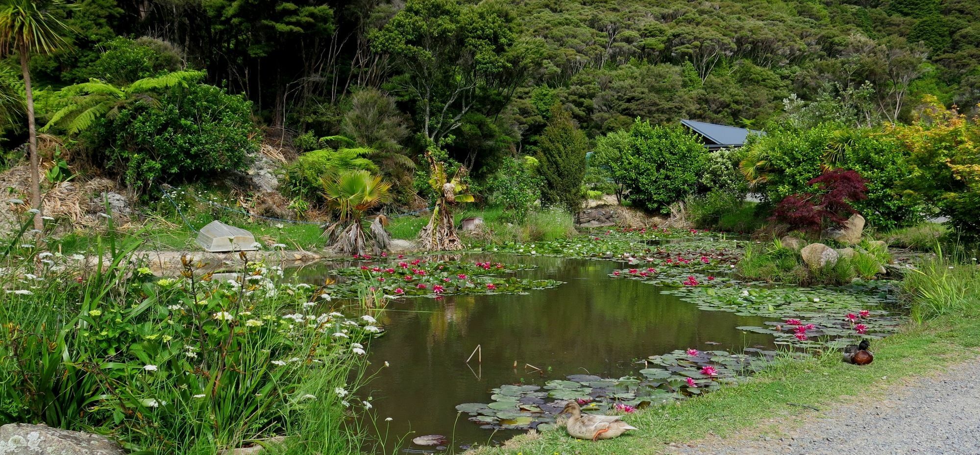 Bay Of Islands Holiday Apartments Paihia Kültér fotó